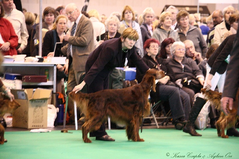 Crufts2011_2 044.jpg